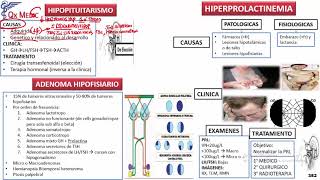 Hipopituitarismo e Hiperprolactinemia [upl. by Arat]