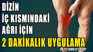 DİZİN İÇ KISMINDAKİ AĞRI İÇİN 2 DAKİKALIK UYGULAMA aktifizyo fiziktedavi dizağrısı [upl. by Burrill978]