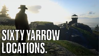 Red Dead Redemption II 60 Yarrow Locations [upl. by Aihsei]