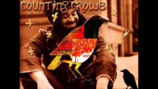 Counting Crows  Wilco California Stars cover [upl. by Legim]