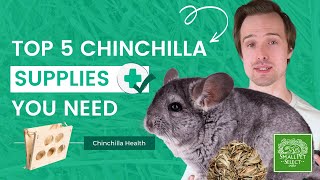 Chinchilla Care 101 Top 5 Essential Chinchilla Supplies You NEED To Have [upl. by Lorsung]