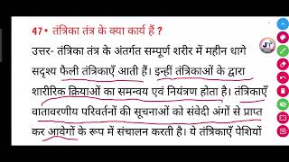 तंत्रिका तंत्र के क्या कार्य है  tantrika tantra ke kya Karya hai [upl. by Zellner]