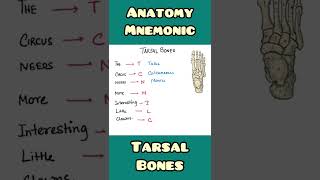 Tarsal Bones  mnemonic  Anatomy Ortjopaedics shorts [upl. by Anirba]