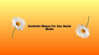 Aesthetic Names For Any Social Media [upl. by Mildred746]