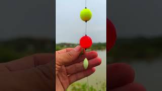 How to strike carp use this bait fishing fishknot carpfishing [upl. by Erny]