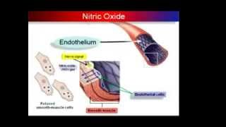 LARGININE Nitric Oxide No More Heart Disease [upl. by Etteuqaj]