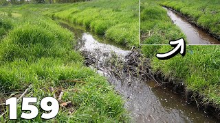 Manual Beaver Dam Removal No159  And Strengthening The Stream Bank [upl. by Acsehcnarf]