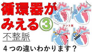 【不整脈】不整脈の種類、病態、治療薬 整理したい方はコチラ 医療系学生必見 [upl. by Htur853]