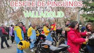 La concentración de los pingüinos  2024  en Valladolid  el desfile de pingüinos 2024 [upl. by Deehahs62]