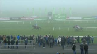 Punchestown Highlights 20th November 2016 [upl. by Atteyek55]