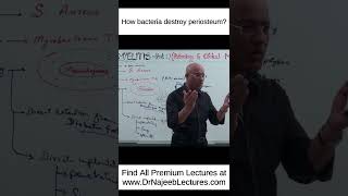 How Bacteria Destroy Periosteum shortvideo shorts drnajeeb drnajeeblectures [upl. by Gerson580]