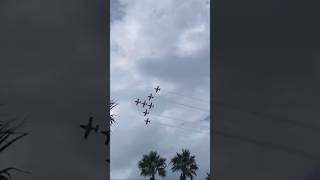 Canadian Snowbirds Flyby [upl. by Karli]