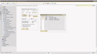 Obtener el estado de cuenta de un cliente o proveedor en SAP Business One [upl. by Wolgast]