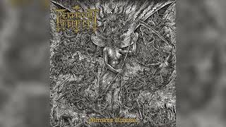 Perdition Temple  quotMerciless Upheavalquot Full Album [upl. by Siroled]