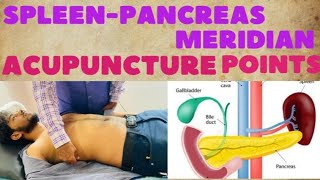 SPLEEN PANCREAS MERIDIAN ACUPUNCTURE POINTS [upl. by Zedecrem]