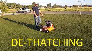 Dethatching VERTICUTTING Thinning out lawn [upl. by Ursal]