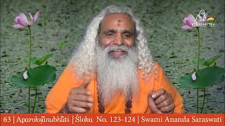 63  Aparokshanubhuti  Swami Ananda Saraswati  Verse No 123  124  Dhyana and Samadhi [upl. by Yecnuahc247]