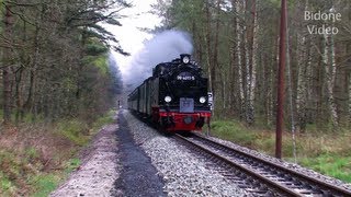 Eisenbahn 2012 25 Dampfloks  Steam Trains  Züge [upl. by Notniw]