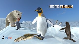 Arctic Penguin Simulator By Wild Foot Games  Android  iOS  Gameplay [upl. by Idnahc]