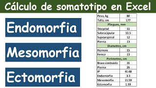 Calculo de somatotipo en Excel Endomorfia Mesomorfia y Ectomorfia [upl. by Platto]