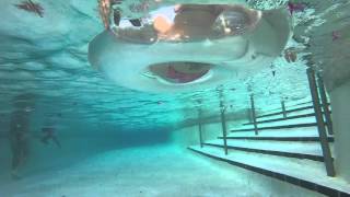 Wet n wild lazy river under water view [upl. by Kurtz851]