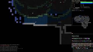 DCSS Dungeon Crawl Stone Soup Win with every species Felid Part 5 [upl. by Losse]