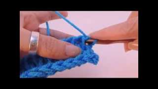 Tunisian Crochet Full Stitch aka Mesh Stitch [upl. by Namad856]