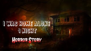 Horror Story 3  I was home alone 1 night [upl. by Vano]