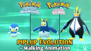 How To Evolve Piplup In Pokemon Brilliant Diamond amp Shining Pearl  Sinnoh Region [upl. by Mariellen]