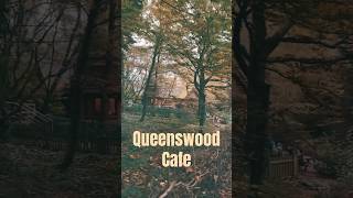 Hidden in the woods…Queenswood cafe travel [upl. by Jeavons]