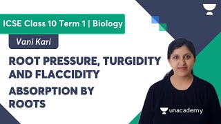 Root Pressure Turgidity and Flaccidity  Absorption by Roots  ICSE Class 10 Term 1  Biology [upl. by Ahsaekal]