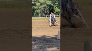 Had a clean run in poles today 2024 State Warmup Show [upl. by Mariele212]