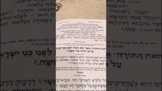 Chazan N Gluck  Chatzi Kaddish after leaning yomim noroim [upl. by Meuse667]