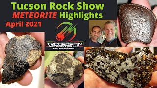 Buying Meteorites in Tucson 2021 Rock Show wFriends Pallasite Mars Iron Rare Meteorites [upl. by Kraska]