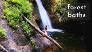 Vanlife  Forest Baths  Magical Summers  10 [upl. by Oniluap]