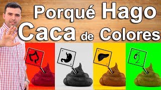 ¿QUE DICE EL COLOR DE LAS HECES SOBRE TU SALUD  Porque Hago Caca de Colores [upl. by Sirovart]