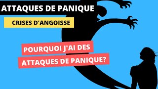 Pourquoi jai des crises de panique [upl. by Alexia]