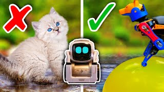 Cozmo Tries GENIUS Pet Life Hacks from 5Minute Crafts [upl. by Hgielrebmik]