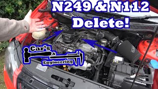 Time To Delete The N249 and N112 Polo 9n3 GTI [upl. by Filipe312]