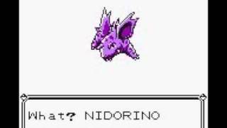 Nidorino Evolving in Pokemon Yellow [upl. by Seidule]