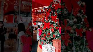 Christmas in the cornerChristmas is comingshort viral vedio [upl. by Paz]