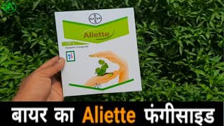 Aliette  बायर कंपनी का एलियट फंगीसाइड बहुत शानदार [upl. by Milurd]