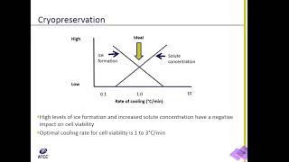 Cell Culture 101 Cryopreservation Theory [upl. by Maxama743]