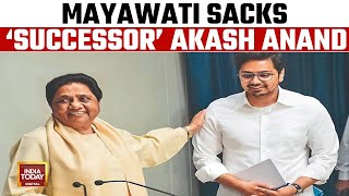 Breaking News Mayawati ने Akash Anand को उत्तराधिकारी घोषित किया  BSP  Lucknow  News18 India [upl. by Arahsak]