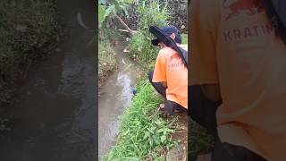 Pamer strike biar temen panas mancing strikegacor fypシ゚viral shortvideo fishing [upl. by Asikal]