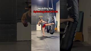 Mobility Exercises For Stronger Spinning Back Kicks mma kickboxing karate taekwondo [upl. by Jolda]