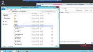 How to install PhpMyAdmin in windows server  Install PhpMyAdmin in windows server [upl. by Ortensia]