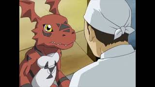 guilmon bread [upl. by Bywoods]