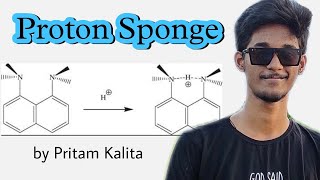 Proton Sponge [upl. by Lenard]