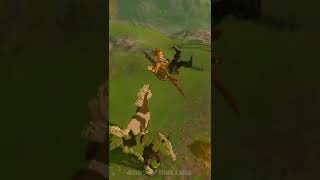 What Happened Here 😅 Breath of the Wild [upl. by Renrut530]